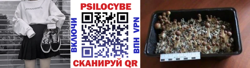 сколько стоит  Орёл  Псилоцибиновые грибы MAGIC MUSHROOMS 